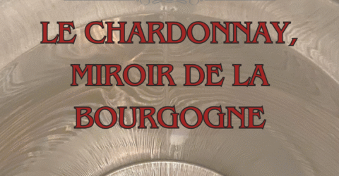 Événement : Dégustations thématiques à Autun